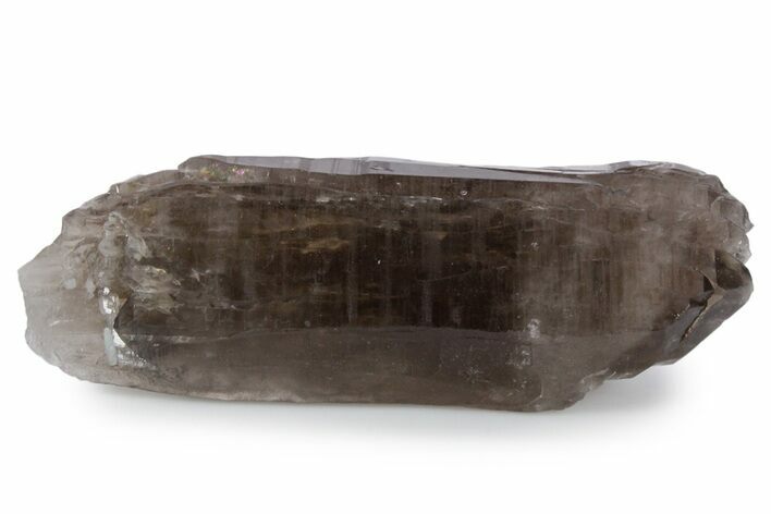Natural, Dark Smoky Quartz Crystal - Colorado #356720